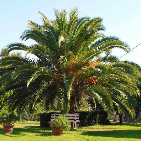 Il Roseto Di Daniela מונטפיאסקונה